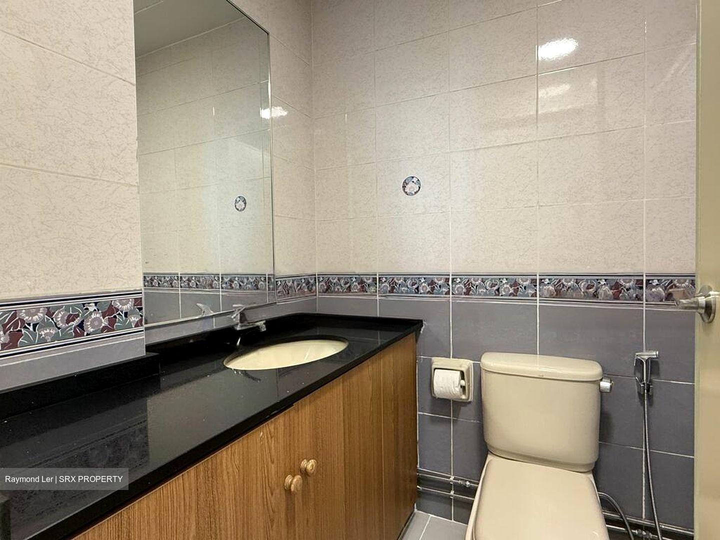 Serenity Park (D28), Condominium #471790741